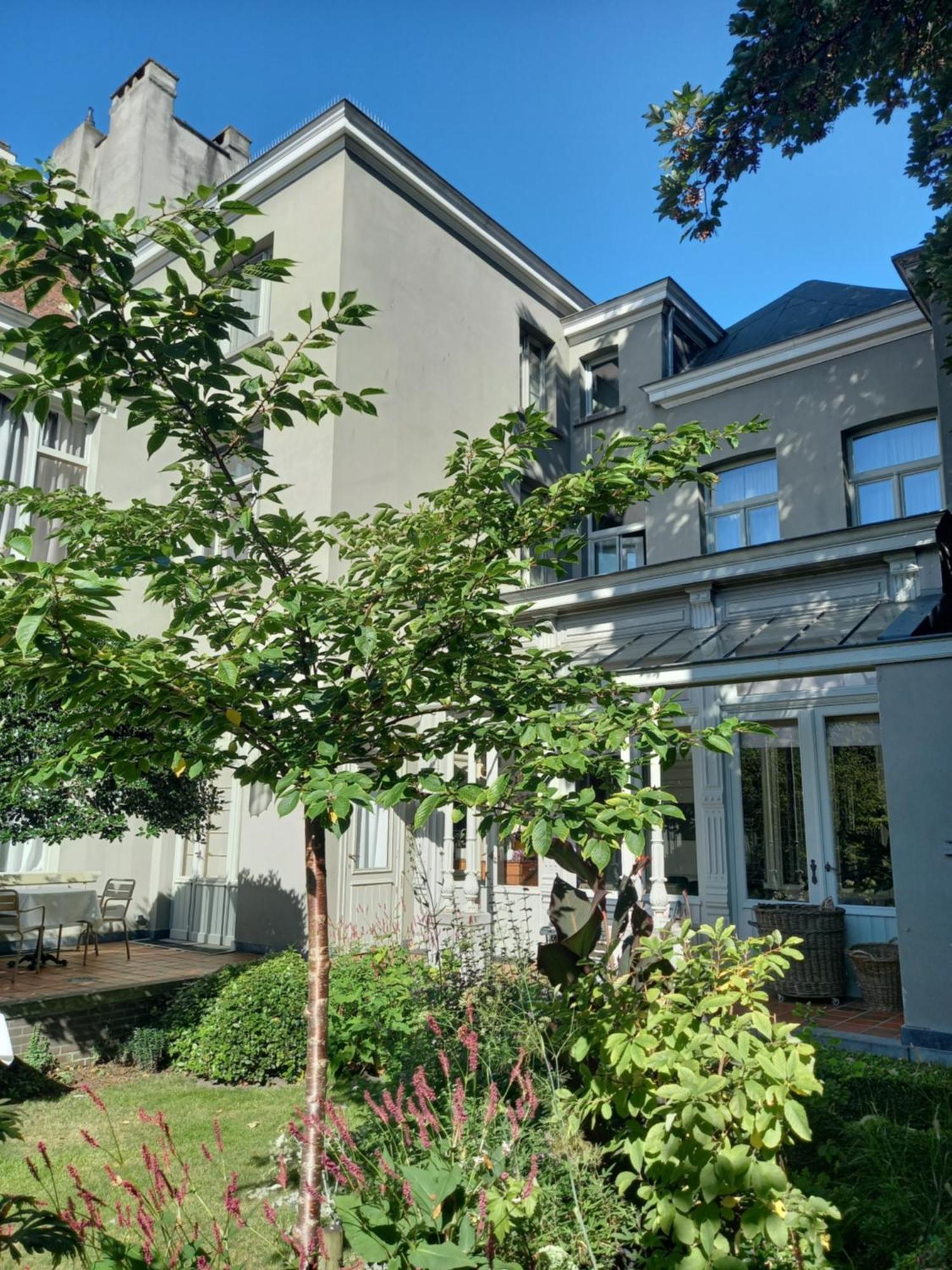 Huis Dujardin Bed&Breakfast Antwerpen Ngoại thất bức ảnh