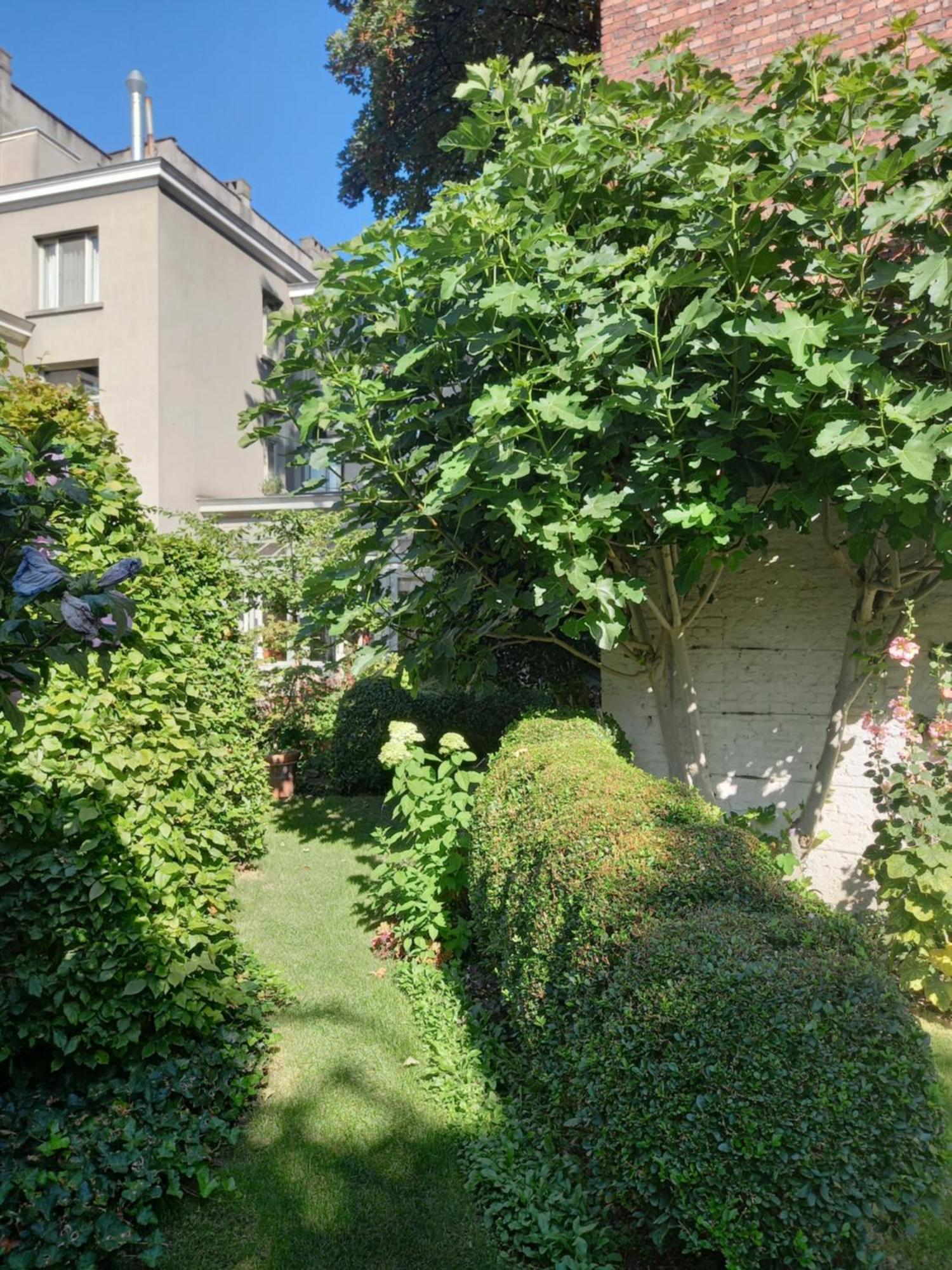 Huis Dujardin Bed&Breakfast Antwerpen Ngoại thất bức ảnh