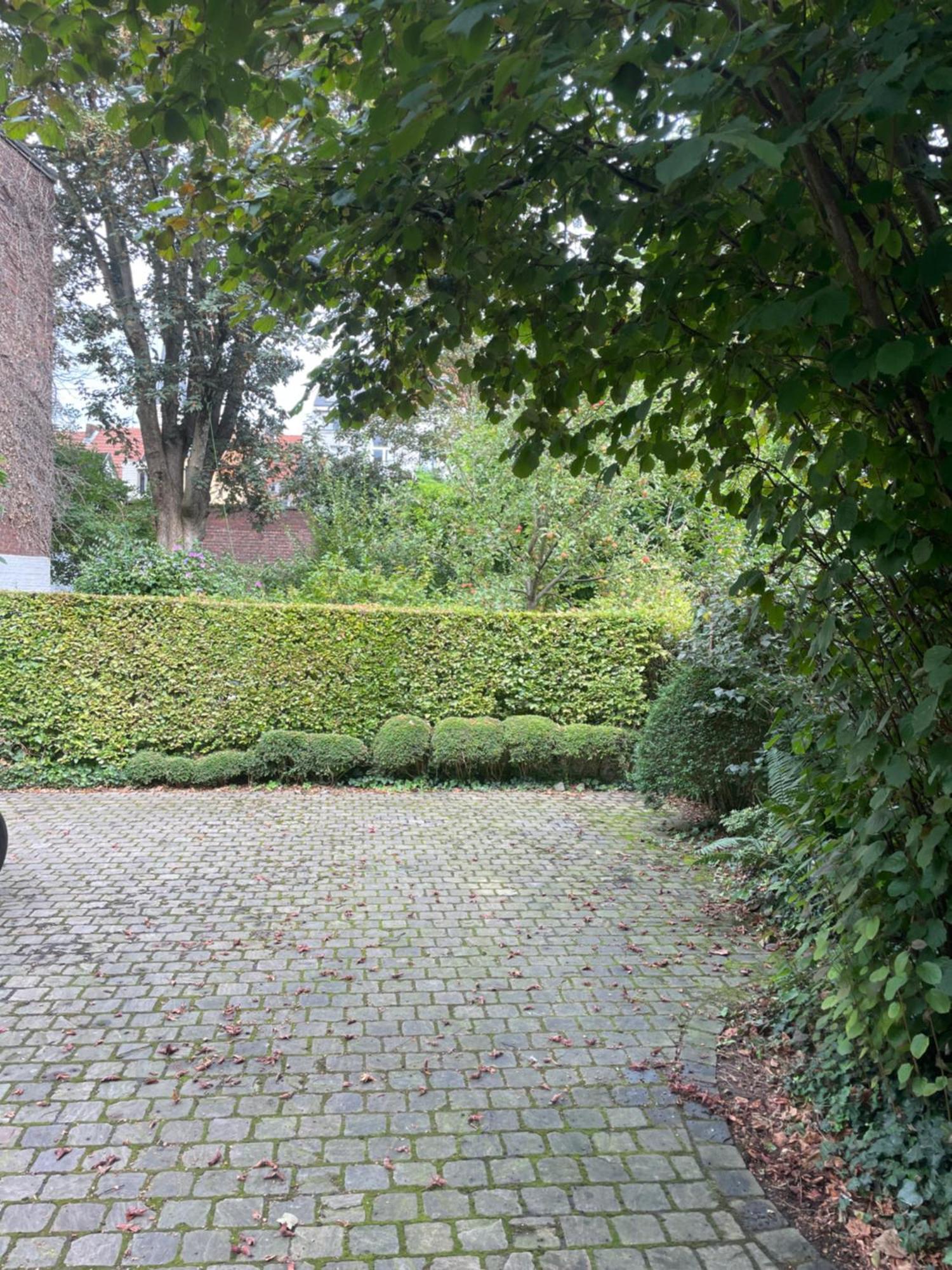 Huis Dujardin Bed&Breakfast Antwerpen Ngoại thất bức ảnh