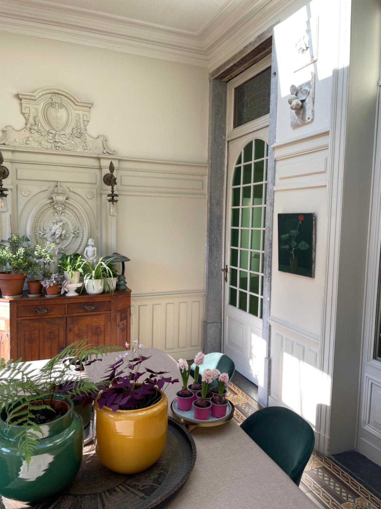 Huis Dujardin Bed&Breakfast Antwerpen Ngoại thất bức ảnh